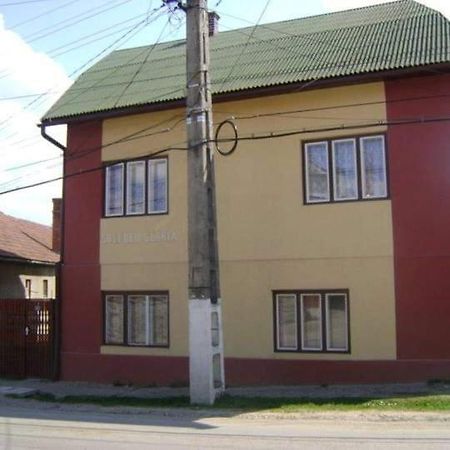 Pensiunea Shalom Sîncraiu 外观 照片